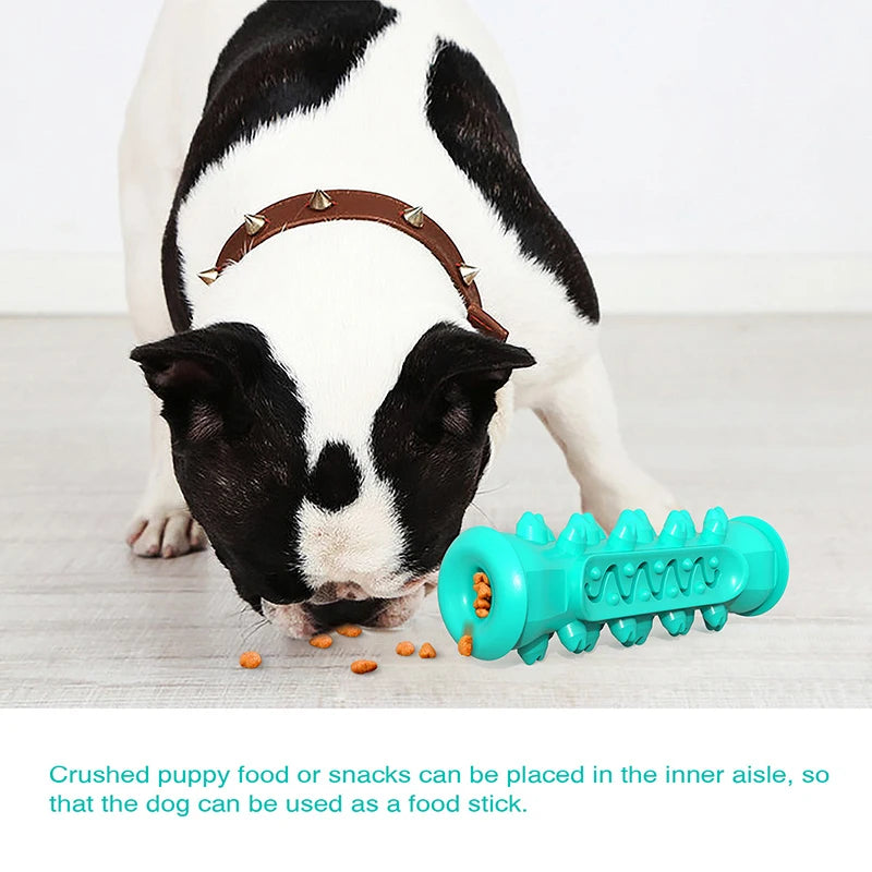 Dog Toys TPR Safe Puppy Dental Care Cleaning Toys Teething Stick Chewable Teeth Cleaning Bones Dog Toothbrush  Supplies