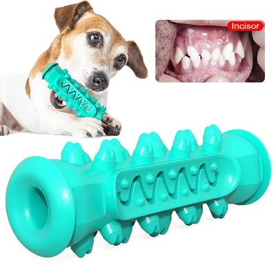Dog Toys TPR Safe Puppy Dental Care Cleaning Toys Teething Stick Chewable Teeth Cleaning Bones Dog Toothbrush  Supplies