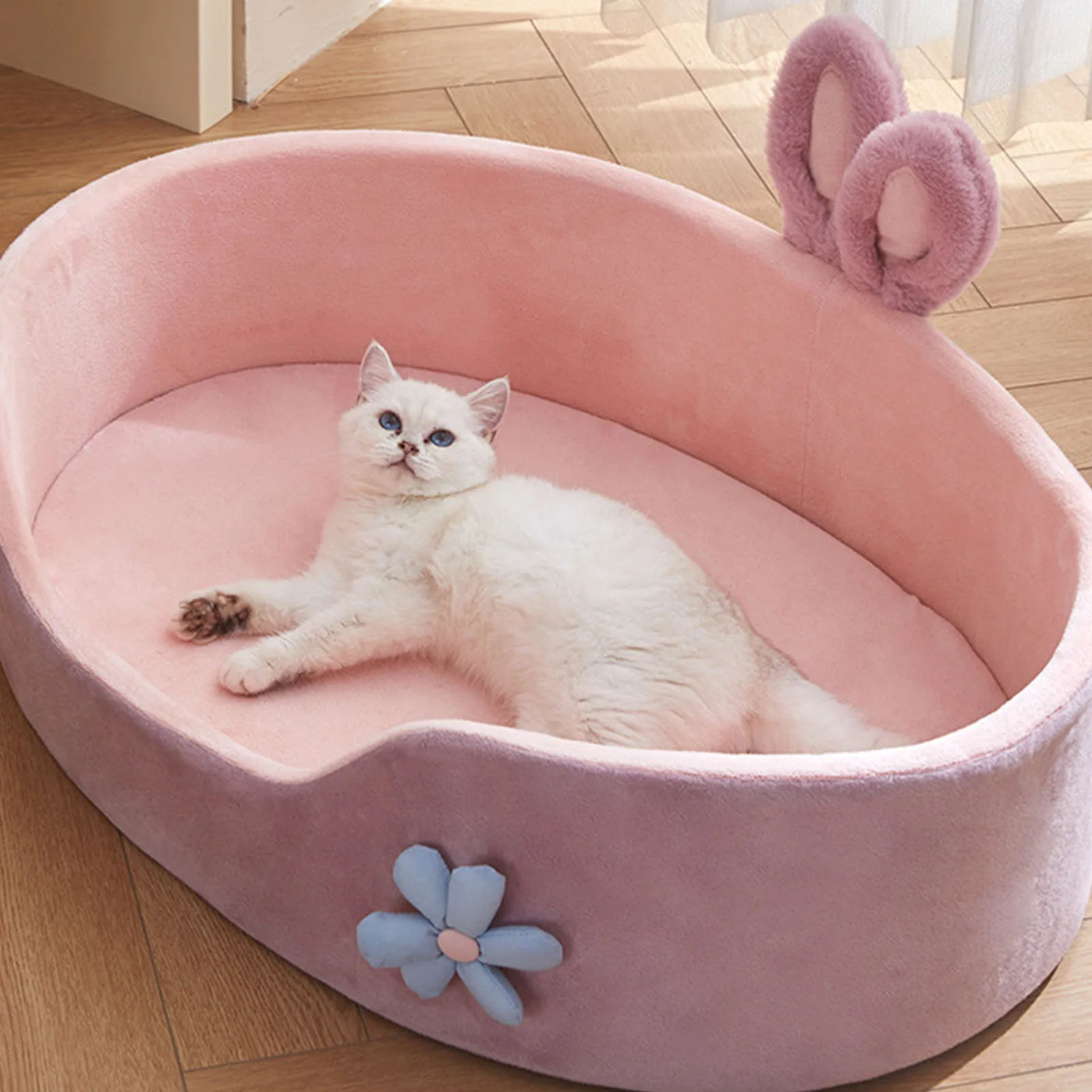 Pet Bed
