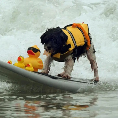 Pet Swim Wear Pet Life Safety Vest Floatation Safety Vest Reflective Swimsuit Puppy Floatation Vest For Dog Pet Boating Swimming