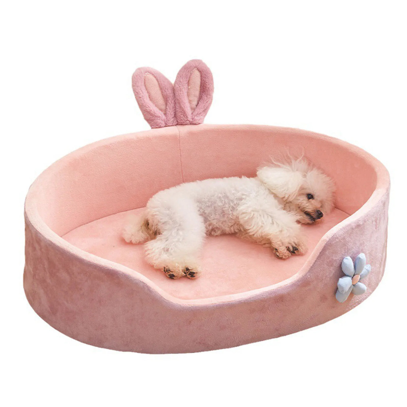 Pet Bed