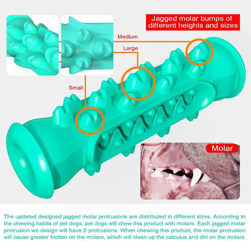 Dog Toys TPR Safe Puppy Dental Care Cleaning Toys Teething Stick Chewable Teeth Cleaning Bones Dog Toothbrush  Supplies